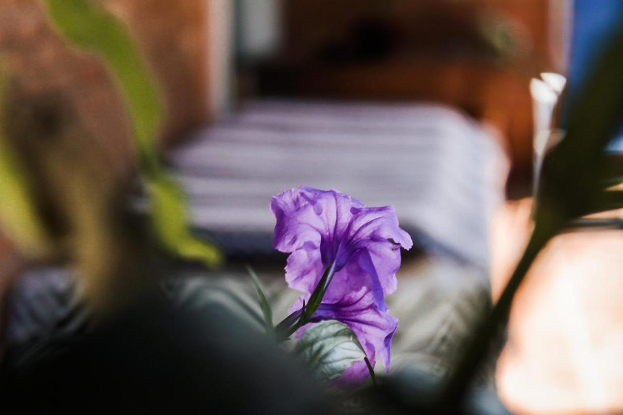 אובטובה Casa Ka'A Hostel מראה חיצוני תמונה